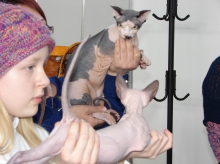 «Чемпионы» и «дворяне» в Набережных Челнах